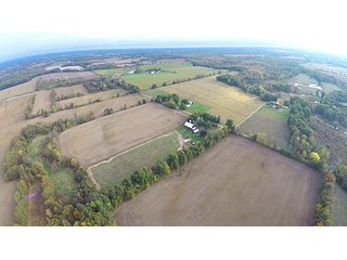 Property photo 3 - Southern Michigan Land Auction - 2 Auctions in 1 - 229+/- Acres and 66+/- Acres